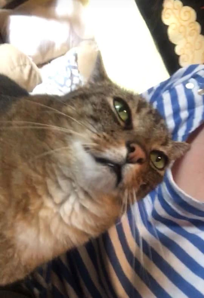 Took A Lot Of Scrolling But I Love This Picture