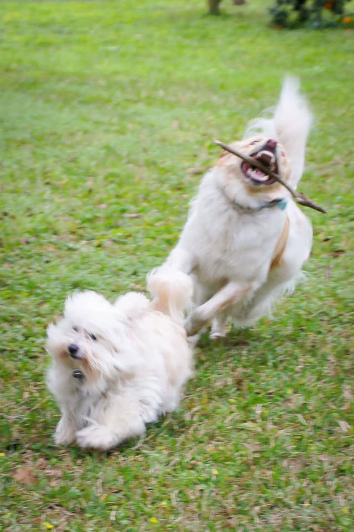 Mine Is The One In The Back