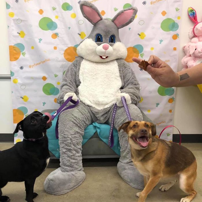They Didn’t Really Enjoy Seeing The Easter Bunny This Year. This Is The Best Pic We Could Get Of Them