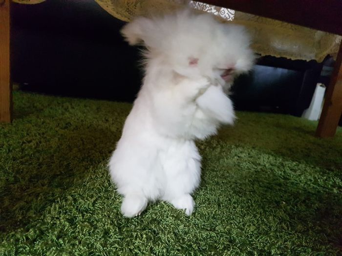 My Beautiful Angel Boy Ukaleq (Which Means Rabbit... The Name Stuck When We Were Looking For A Fitting Name)