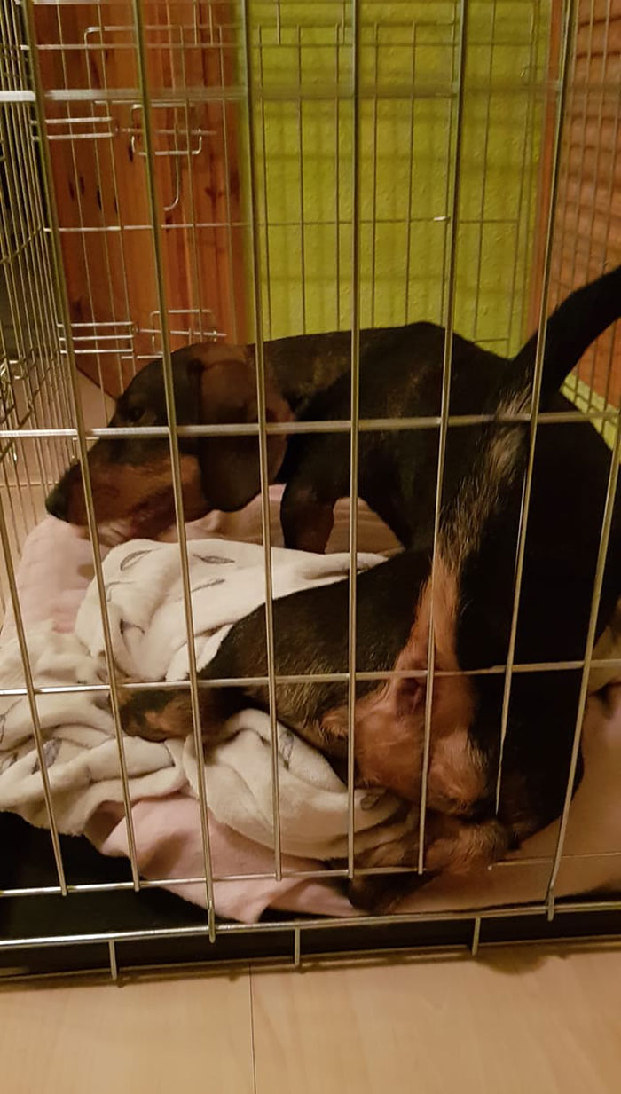 Thanks For That View Higgins