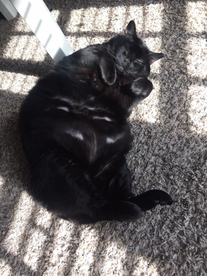 I’ve Never Taken A Flattering Picture Of This Guy. But We Love Him Anyway