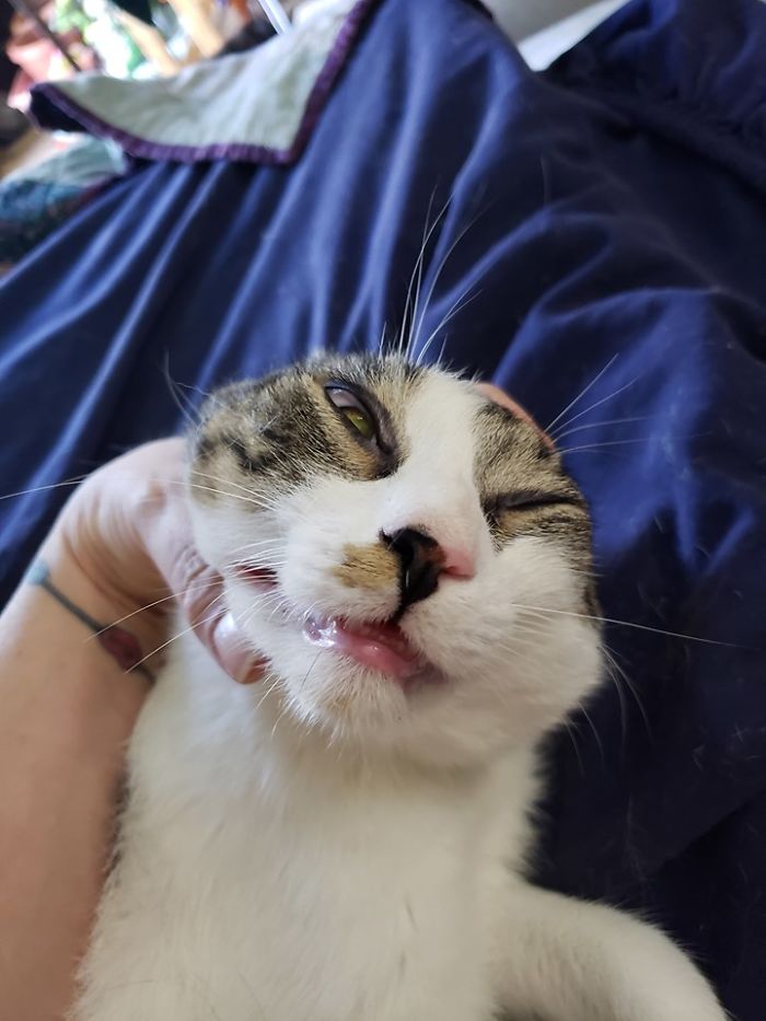 This Is My Little Peanut