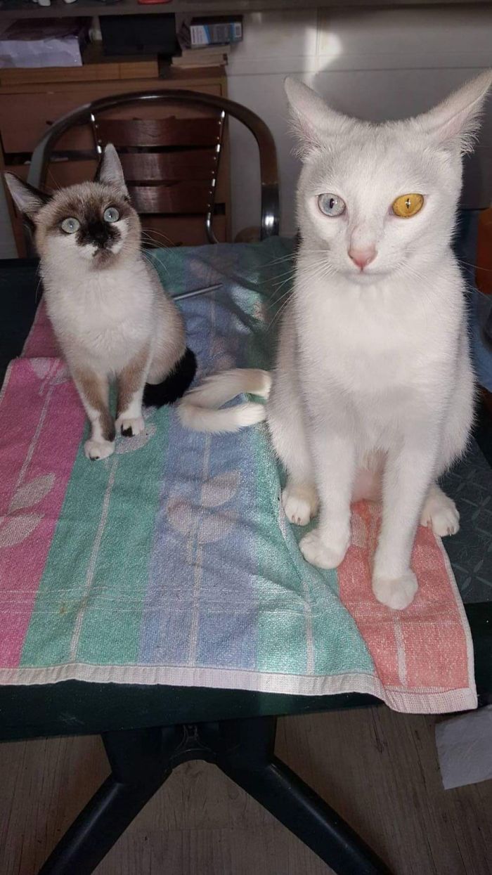 Always Intense Face When I Ask Him To Wait Sit Down For One Picture 😑...