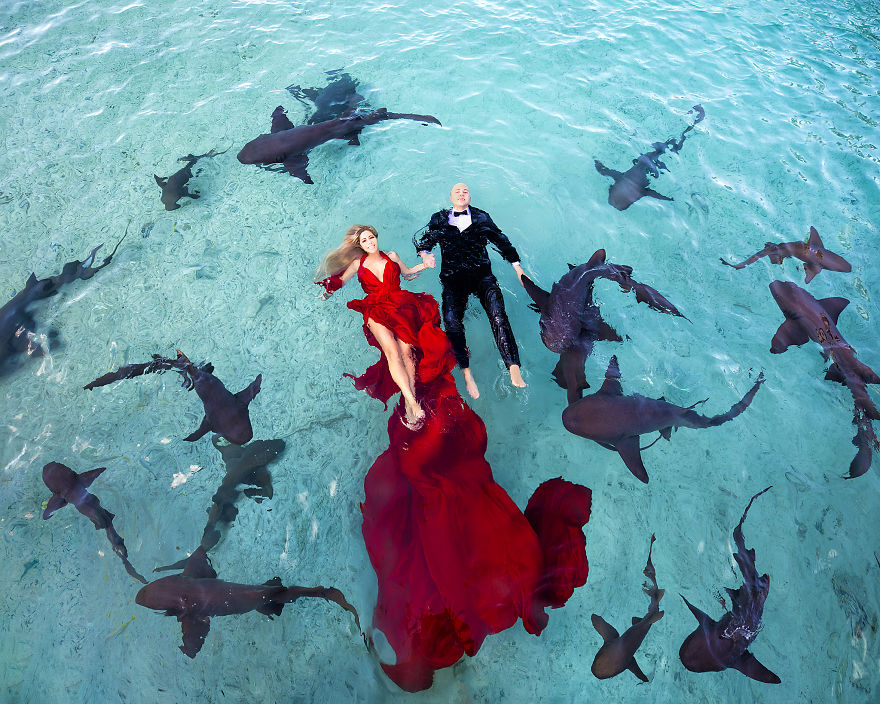 I Brought An Adventurous Couple To Exuma To Swim With Sharks, Pigs, And Stingrays!