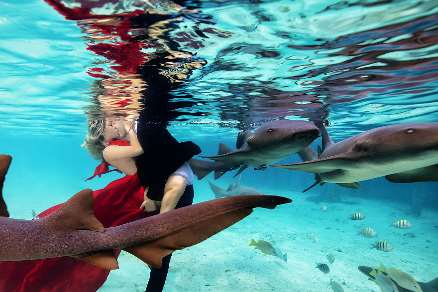 I Brought An Adventurous Couple To Exuma To Swim With Sharks, Pigs, And Stingrays!