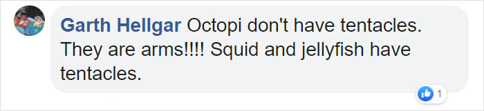 Seller Puts Up Tentacle Leggings On His ETSY, And They Sell Out Like Water In A Desert Seller Puts Up Tentacle Leggings On His ETSY, And They Sell Out Like Water In A Desert