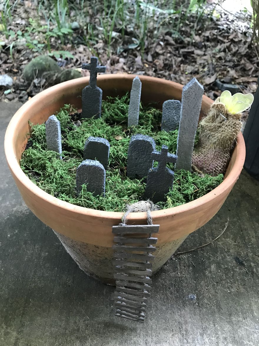 Tiny Sans-Fairy Garden Tiny Sans-Fairy Garden