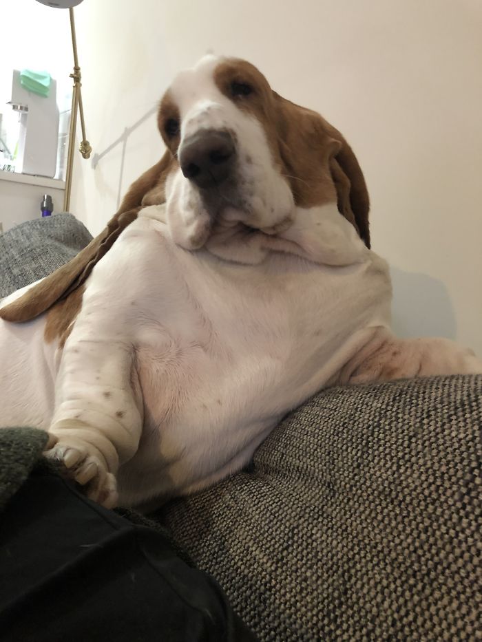 Felt Cute. Might Delete Later.