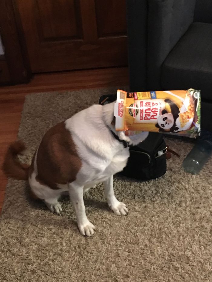 He Got Into The Recycling.