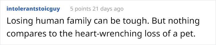 "He Waited There Every Day For 11 Years. I Knew One Day I’ll Come Home And He Won’t Be There" "He Waited There Every Day For 11 Years. I Knew One Day I’ll Come Home And He Won’t Be There"