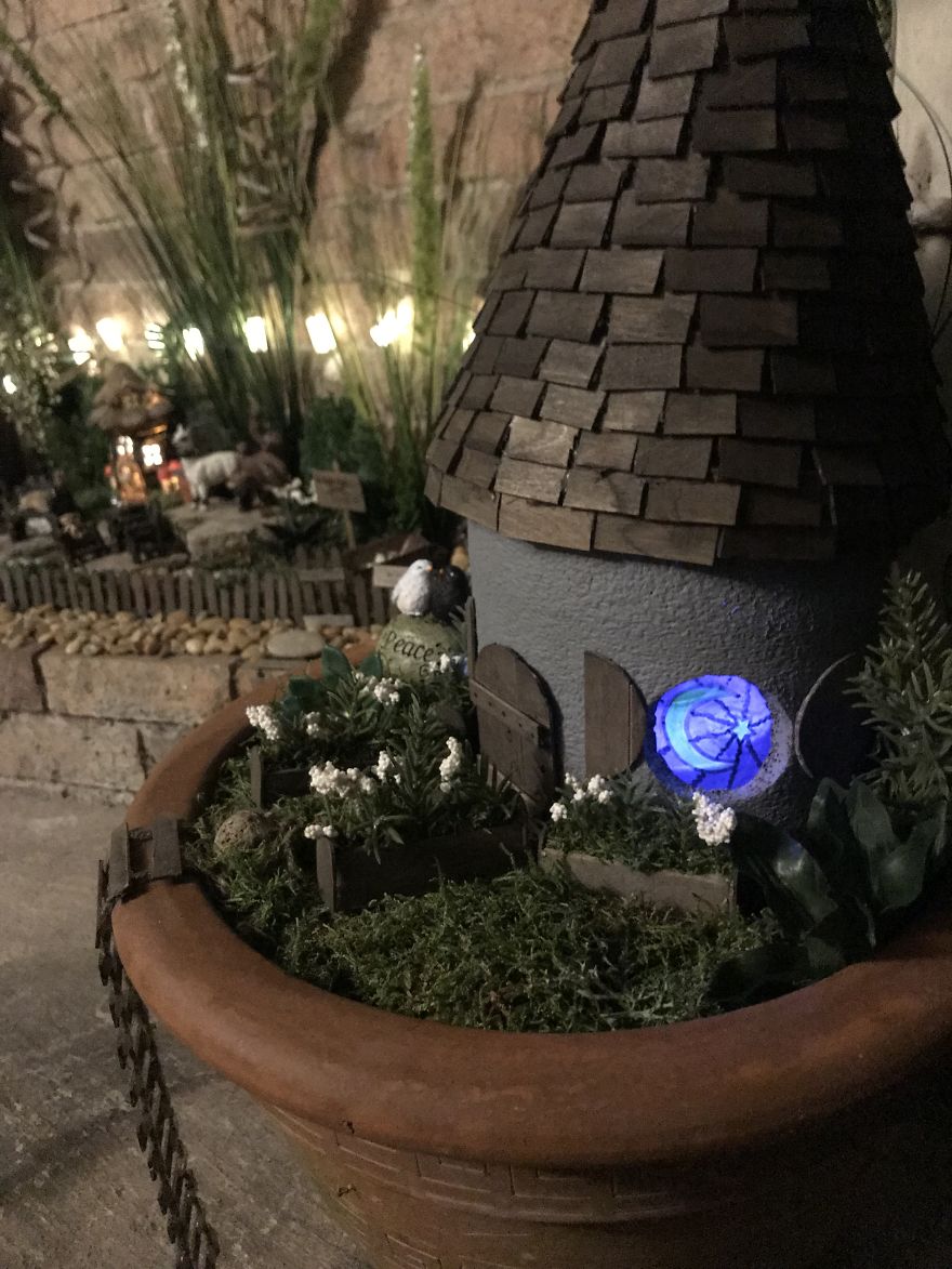 Tiny Sans-Fairy Garden Tiny Sans-Fairy Garden