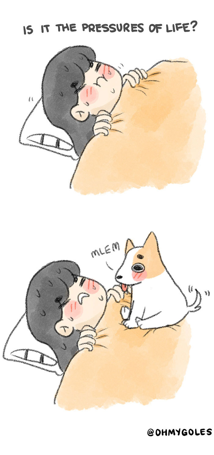 10 Funny And Relatable Comics That Depict The Struggle Of Dog Owners (Including Me) 10 Funny And Relatable Comics That Depict The Struggle Of Dog Owners (Including Me)