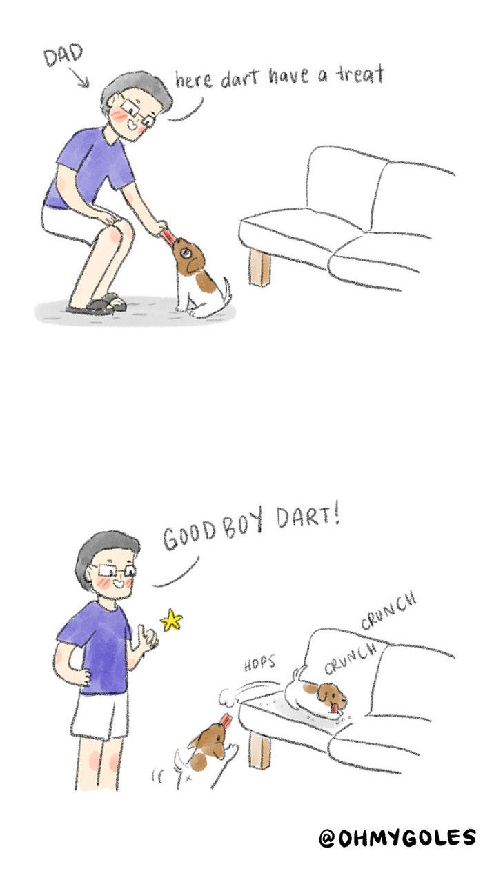 10 Funny And Relatable Comics That Depict The Struggle Of Dog Owners (Including Me)