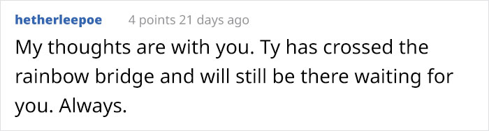 "He Waited There Every Day For 11 Years. I Knew One Day I’ll Come Home And He Won’t Be There" "He Waited There Every Day For 11 Years. I Knew One Day I’ll Come Home And He Won’t Be There"