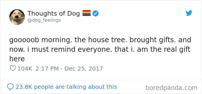 Dog Thoughts