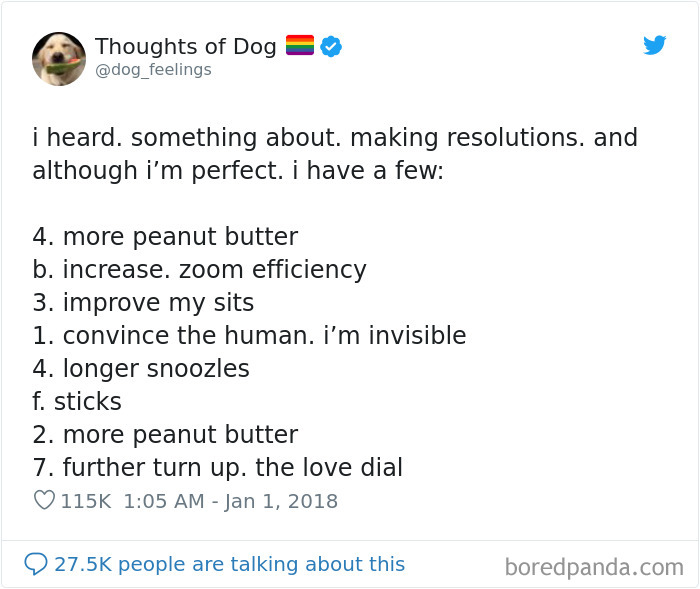 Dog Thoughts