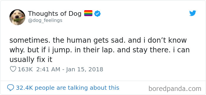 Dog Thoughts