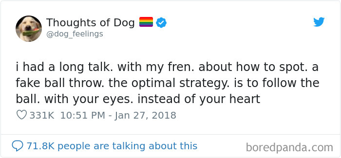 Dog Thoughts