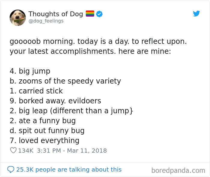 Dog Thoughts