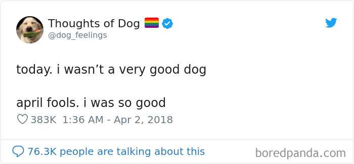 Dog Thoughts