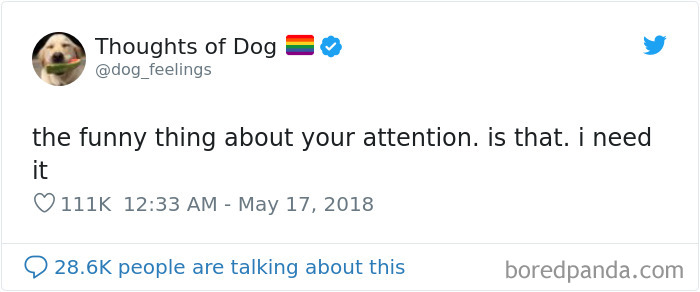 Dog Thoughts