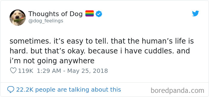 Dog Thoughts