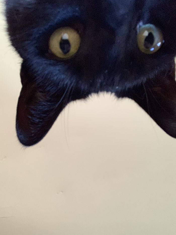 Jack Took His First Selfie The Other Day...