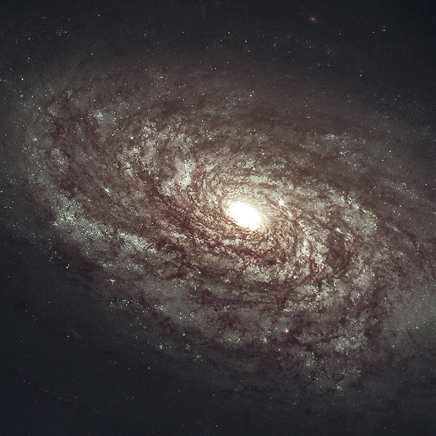 I'm Searching Old Data From The Hubble Telescope And Making New Pictures.