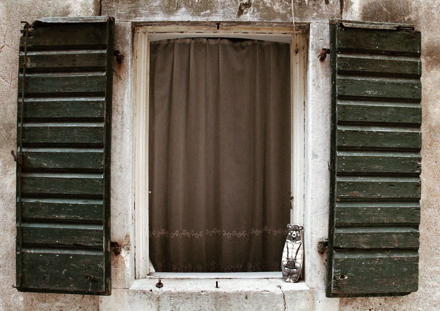 Exploring The Beauty Of Montenegro With The Bear