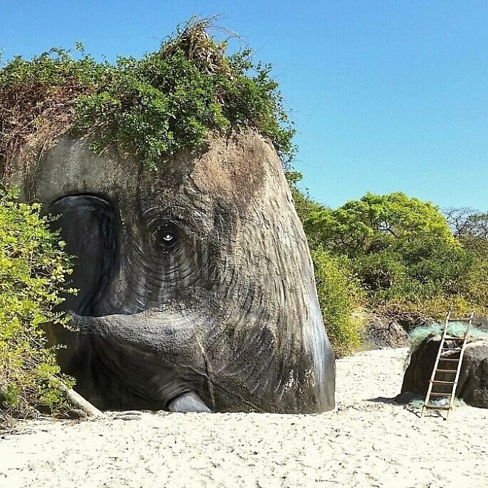 Graffiti Artist Turns A Beach Stone Into A Great White Shark And People Post Their Best Pics With It Graffiti Artist Turns A Beach Stone Into A Great White Shark And People Post Their Best Pics With It