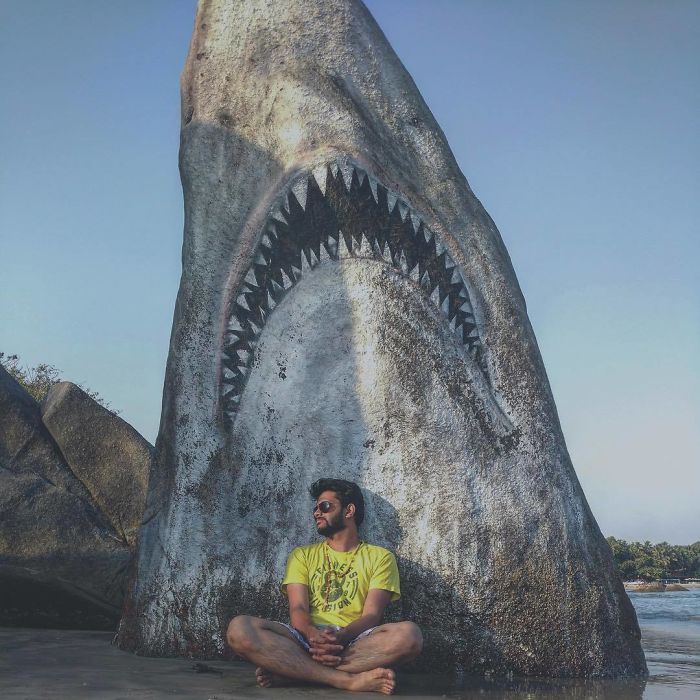 Graffiti Artist Turns A Beach Stone Into A Great White Shark And People Post Their Best Pics With It