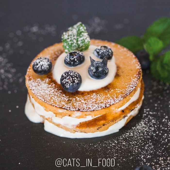 Cats In Food Photoshop