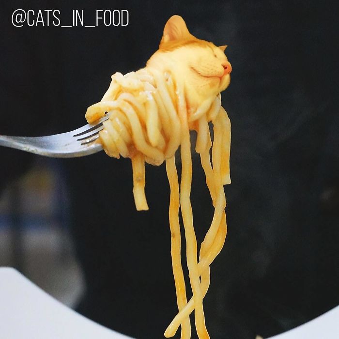 Cats In Food Photoshop