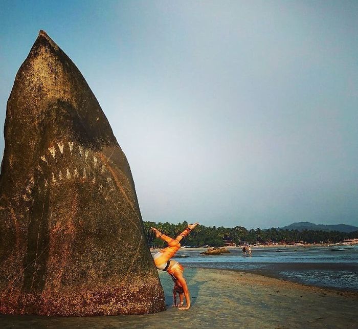 Graffiti Artist Turns A Beach Stone Into A Great White Shark And People Post Their Best Pics With It Graffiti Artist Turns A Beach Stone Into A Great White Shark And People Post Their Best Pics With It