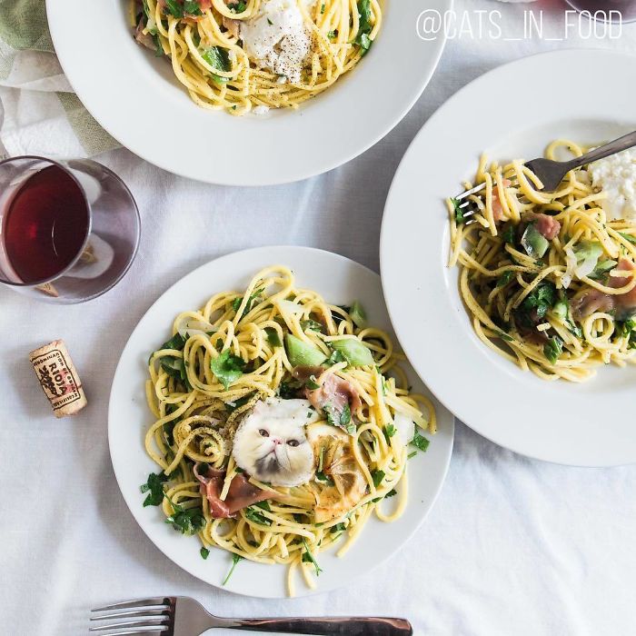 Cats In Food Photoshop