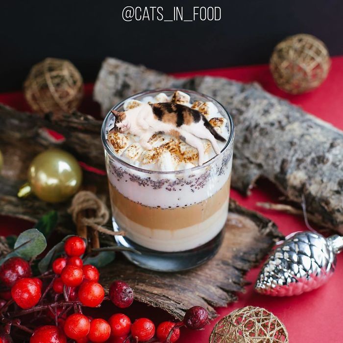 Cats In Food Photoshop