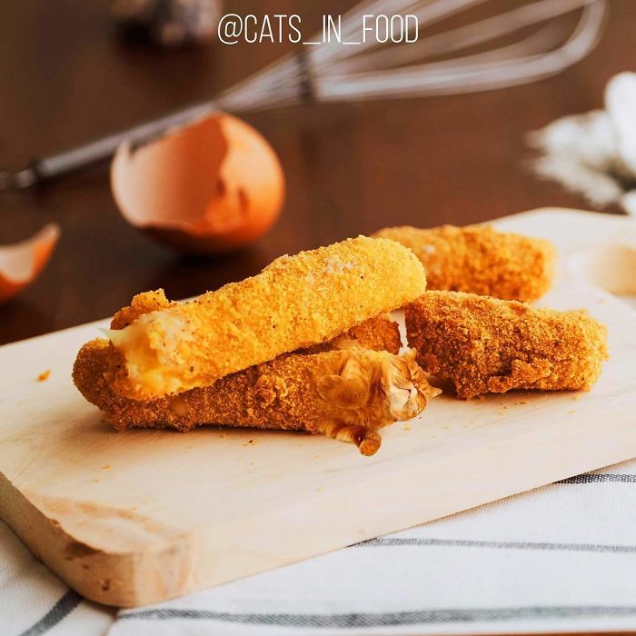 Cats In Food Photoshop