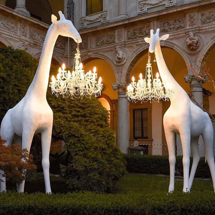 Giraffes In Love Installation