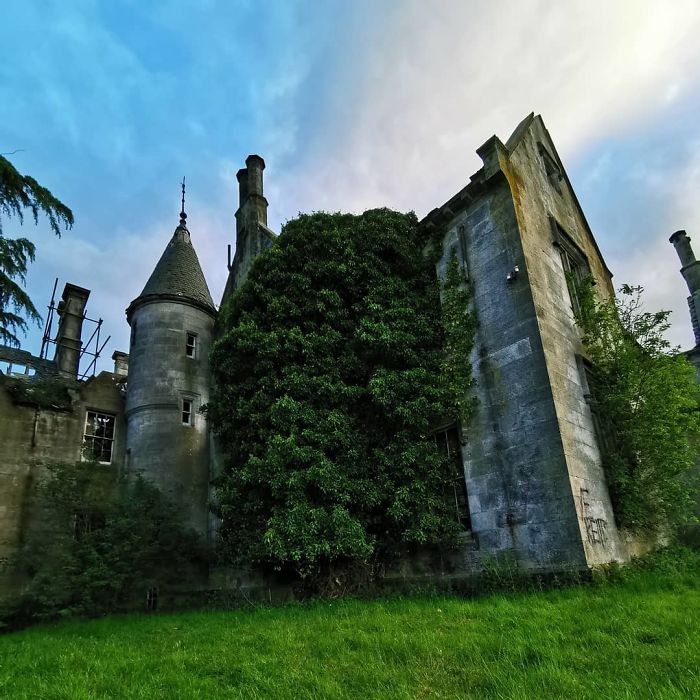 When Nature Takes Over