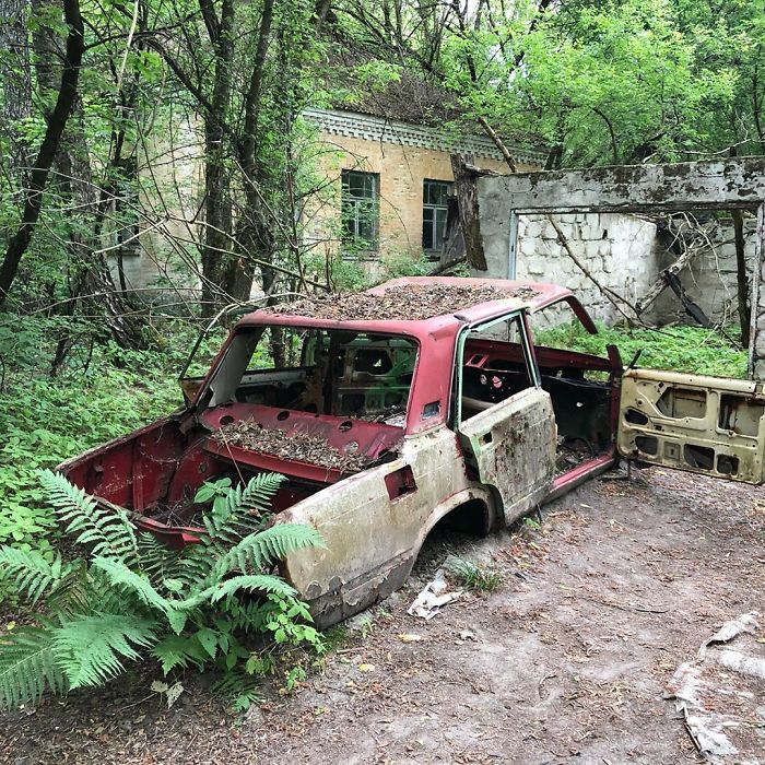 Meanwhile In Chernobyl Zone