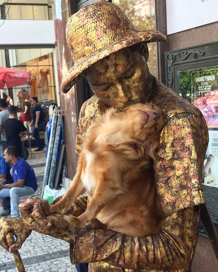 Little Dog Copies Her Bronze Owner In A Bronze Living Statue Performance And It Goes Viral Little Dog Copies Her Bronze Owner In A Bronze Living Statue Performance And It Goes Viral