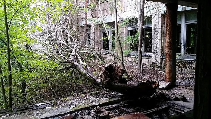Abandonned School In Pripyat Inside The Chernobyl Exclusion Zone