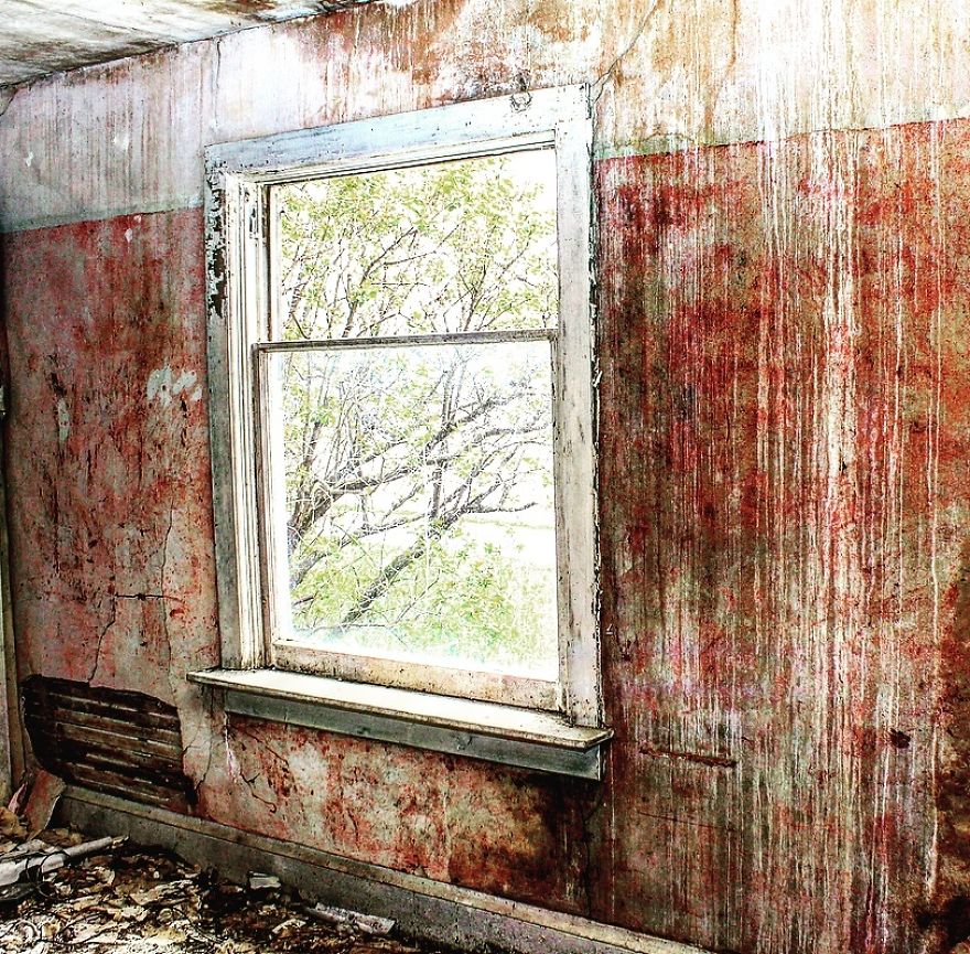 Items Left Behind In Abandoned Homes