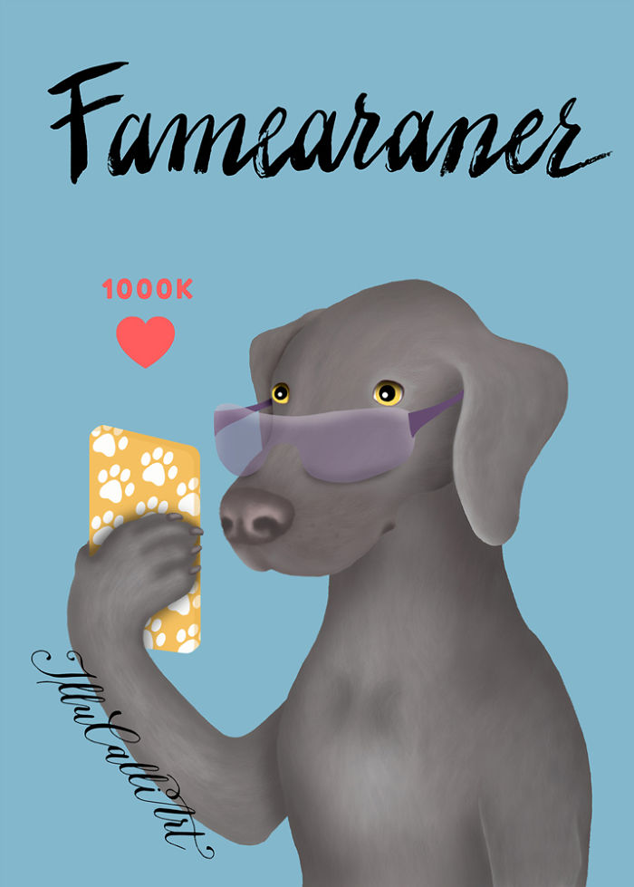 Weimaraner