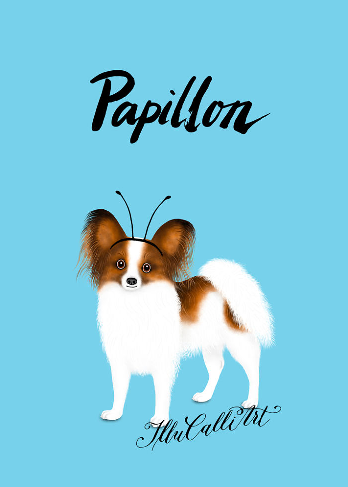 Papillon