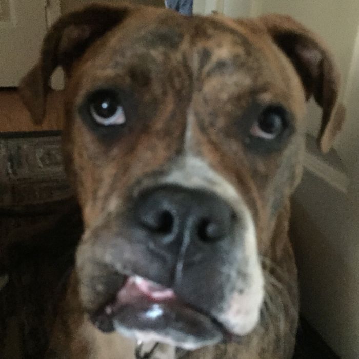 Thank You, Thank You Very Much.