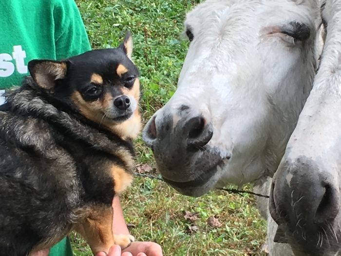 I’ll Get You For This!!