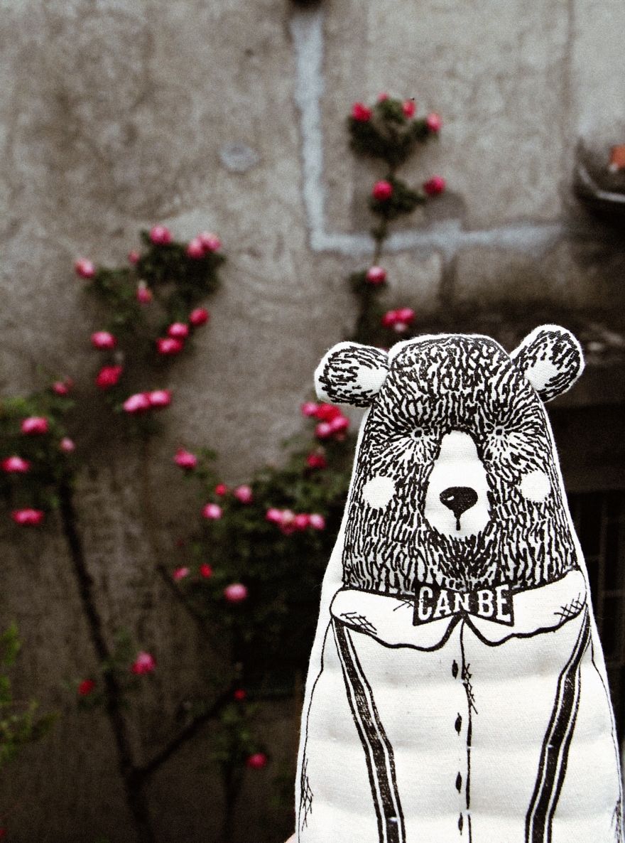 Exploring The Beauty Of Montenegro With The Bear