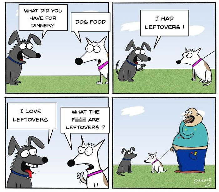 Funny-Cartoons-Scribblyg